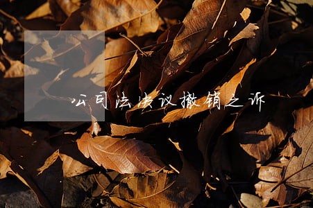 公司法决议撤销之诉