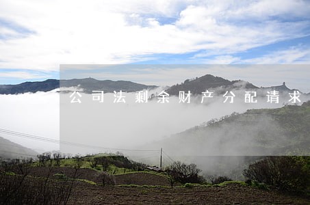 公司法剩余财产分配请求权 公司法剩余财产分配请求权