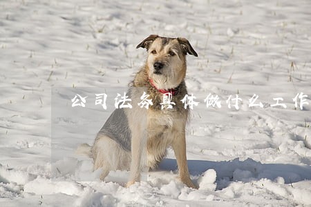 公司法务具体做什么工作 公司法务具体做什么工作
