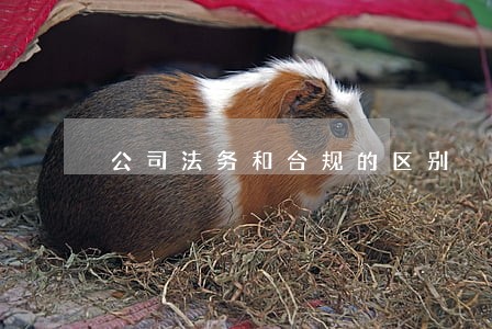 公司法务和合规的区别 公司法务和合规的区别