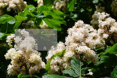 公司法务能参加法考吗 公司法务能参加法考吗