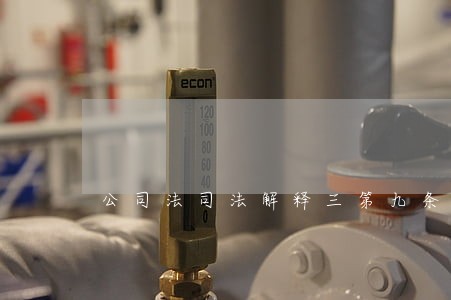 公司法司法解释三第九条论文 公司法司法解释三第九条论文