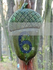 公司法学第四版下载 公司法学第四版下载