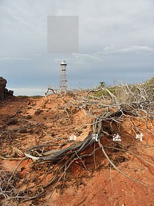 公司法对公司高管要求论文