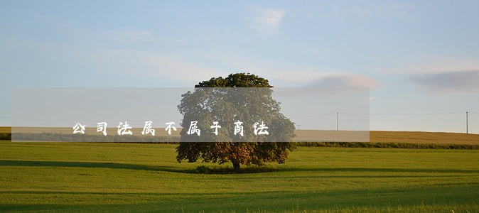 公司法属不属于商法 公司法属不属于商法