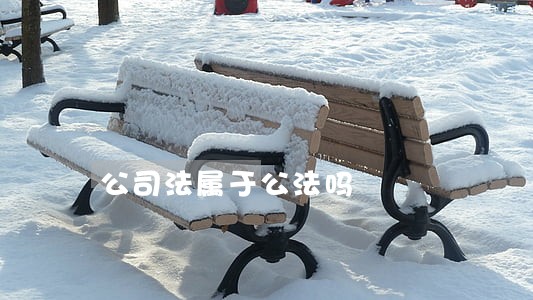 公司法属于公法吗 公司法属于公法吗