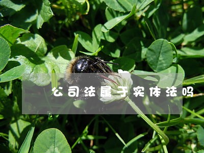 公司法属于实体法吗 公司法属于实体法吗