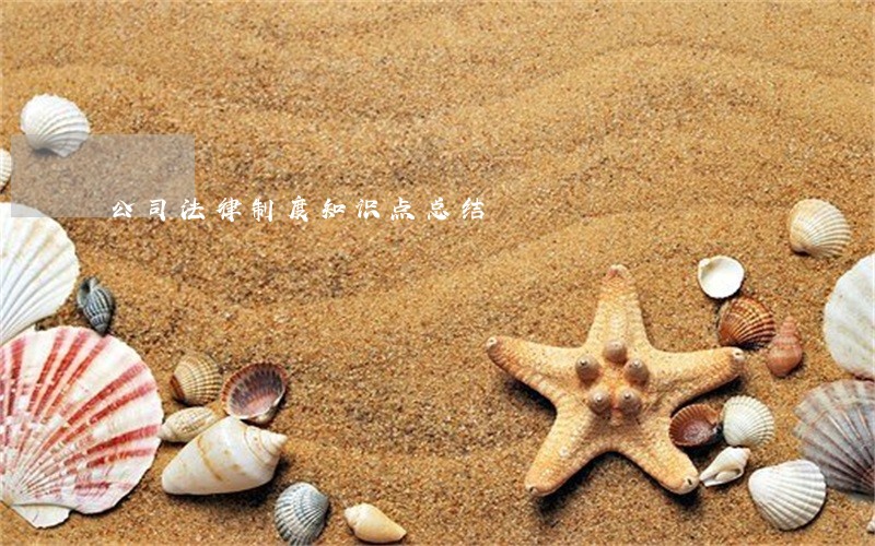 公司法律制度知识点总结 公司法律制度知识点总结