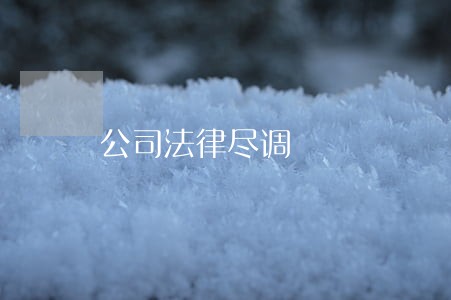 公司法律尽调 公司法律尽调