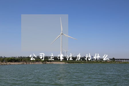 公司法律性质指什么