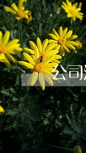 公司法律援助是什么意思 公司法律援助是什么意思