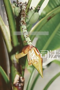 公司法律援助热线电话 公司法律援助热线电话