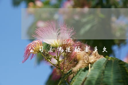 公司法律援助要多久