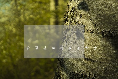 公司法律特征有哪些 公司法律特征有哪些