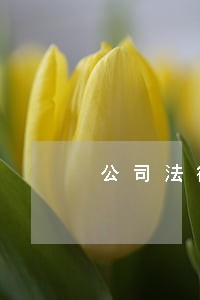 公司法律调查问卷 公司法律调查问卷