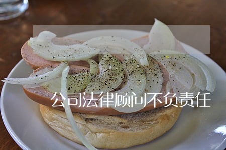 公司法律顾问不负责任 公司法律顾问不负责任