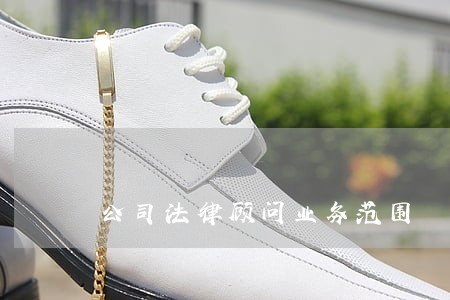 公司法律顾问业务范围 公司法律顾问业务范围