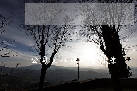 公司法律顾问书推荐 公司法律顾问书推荐