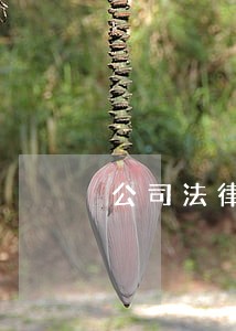 公司法律顾问公司地址 公司法律顾问公司地址
