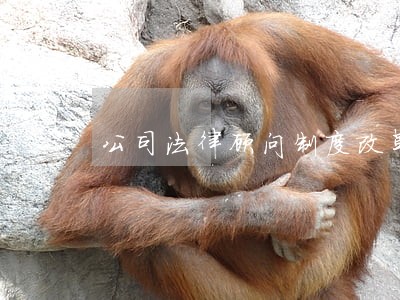 公司法律顾问制度改革 公司法律顾问制度改革