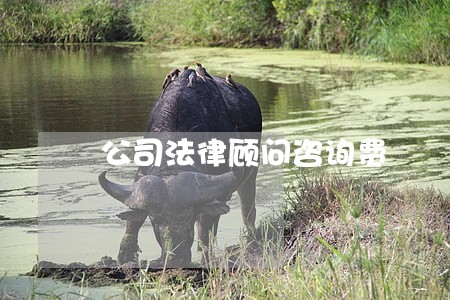 公司法律顾问咨询费 公司法律顾问咨询费