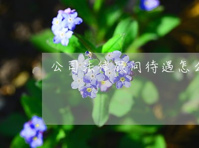 公司法律顾问待遇怎么样 公司法律顾问待遇怎么样