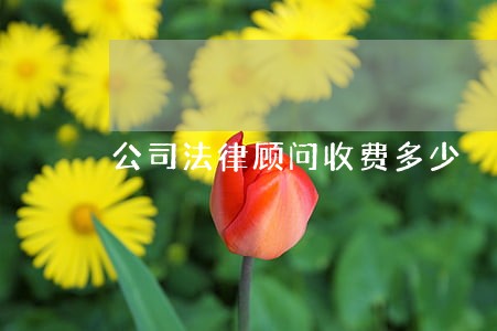 公司法律顾问收费多少 公司法律顾问收费多少