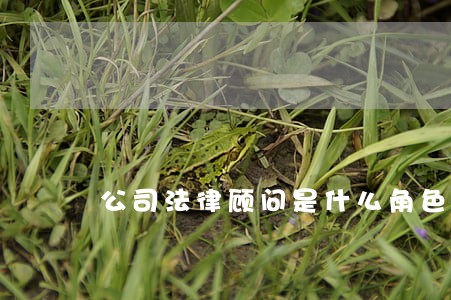 公司法律顾问是什么角色 公司法律顾问是什么角色