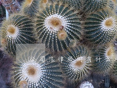 公司法律顾问有什么用 公司法律顾问有什么用