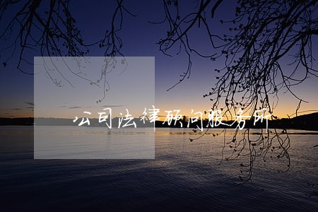 公司法律顾问服务所 公司法律顾问服务所