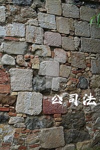 公司法律顾问服务流程