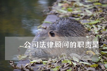 公司法律顾问的职责是 公司法律顾问的职责是