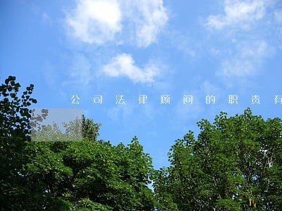 公司法律顾问的职责有 公司法律顾问的职责有