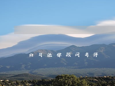 公司法律顾问考评