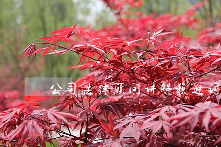 公司法律顾问讲解欢迎词 公司法律顾问讲解欢迎词