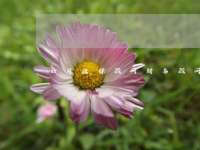 公司法律顾问财务顾问 公司法律顾问财务顾问
