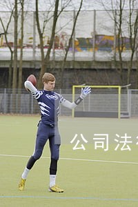 公司法律顾问费怎么入账 公司法律顾问费怎么入账