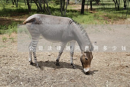 公司法律顾问费用多少钱 公司法律顾问费用多少钱