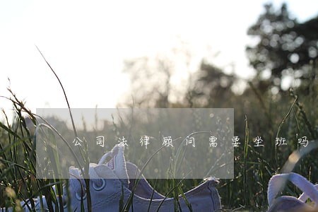 公司法律顾问需要坐班吗 公司法律顾问需要坐班吗
