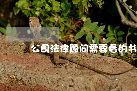 公司法律顾问需要看的书 公司法律顾问需要看的书