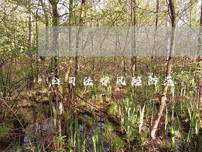 公司法律风险防范