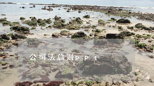 公司法总则ppt