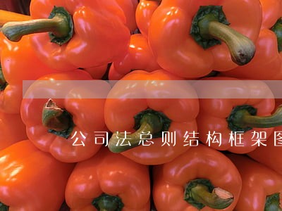 公司法总则结构框架图 公司法总则结构框架图