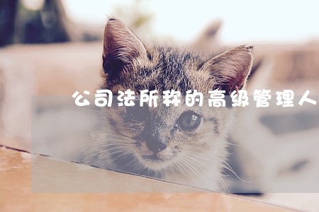 公司法所称的高级管理人员