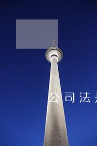公司法是任意法还是强制法
