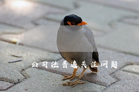 公司法普遍关注问题 公司法普遍关注问题