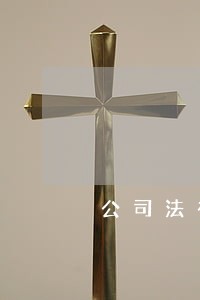 公司法有什么制定 公司法有什么制定