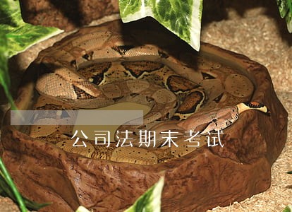 公司法期末考试 公司法期末考试
