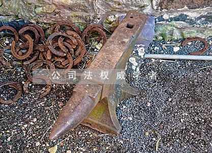 公司法权威学者 公司法权威学者