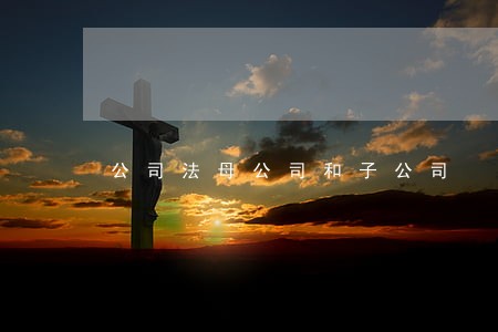 公司法母公司和子公司 公司法母公司和子公司